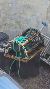 Casier