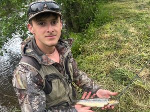 Brown Trout