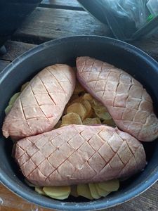 Mirror Carp