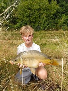 Mirror Carp