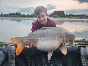 Mirror Carp