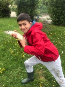 Northern Pike
