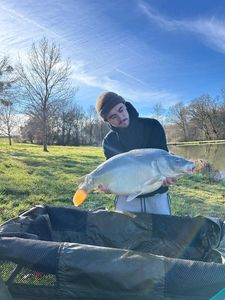 Mirror Carp