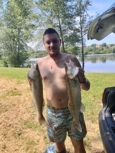 Zander