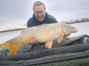 Common Carp