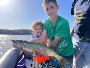 Northern Pike