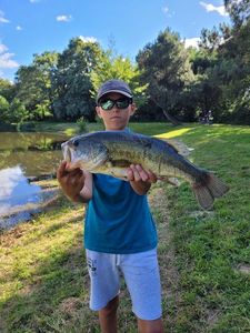 Largemouth Bass
