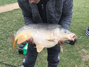 Leather Carp