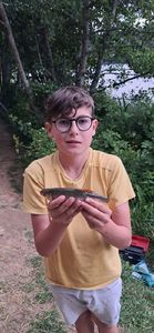 Roach