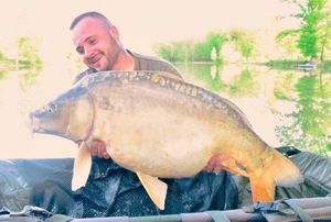 Mirror Carp