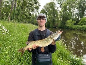 Northern Pike