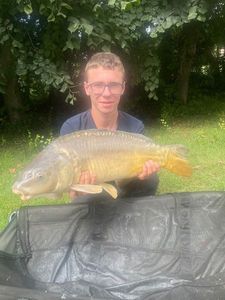 Mirror Carp