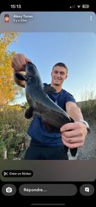 Channel Catfish