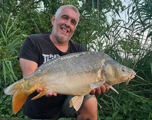 Mirror Carp