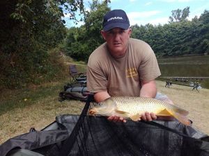 Common Carp