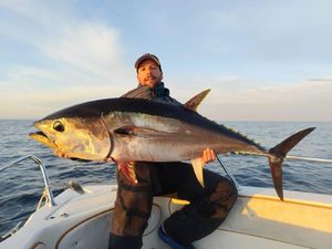 Big Eye Tuna Atlantic