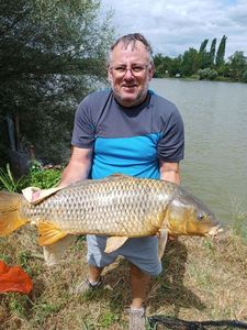 Common Carp