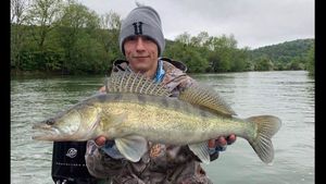 Zander