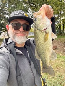 Smallmouth Bass