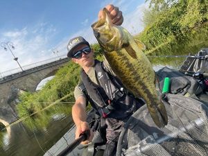 Largemouth Bass