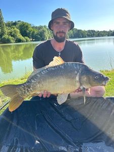 Mirror Carp
