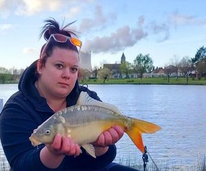 Mirror Carp