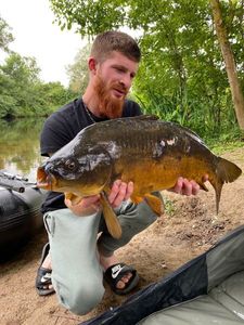 Mirror Carp
