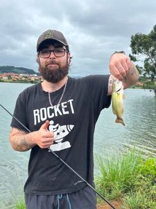 Largemouth Bass