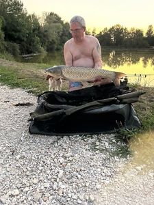 Grass Carp