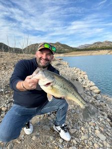 Smallmouth Bass