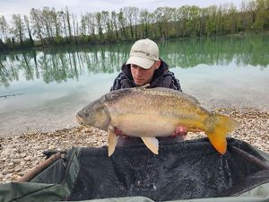 Mirror Carp