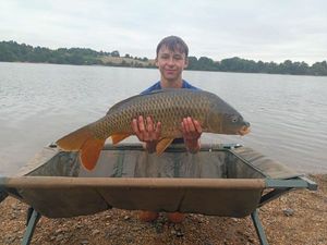 Common Carp