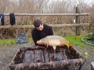 Mirror Carp