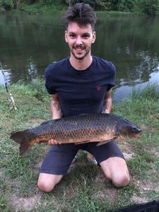 Common Carp