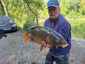 Mirror Carp