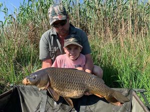 Common Carp