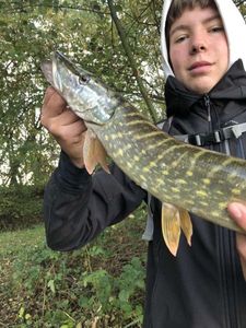 Northern Pike