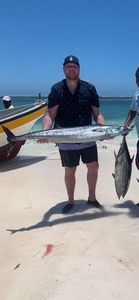 Wahoo