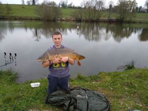Mirror Carp