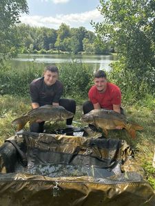 Mirror Carp