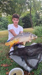 Mirror Carp