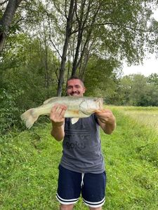Largemouth Bass