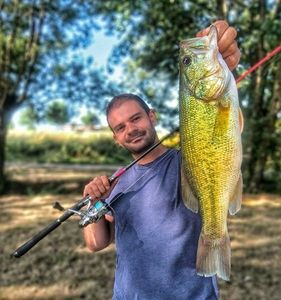 Largemouth Bass