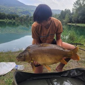 Mirror Carp