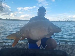 Mirror Carp