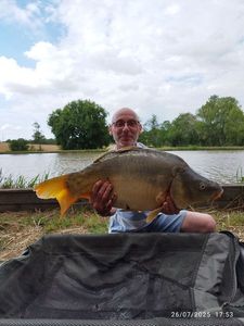Mirror Carp