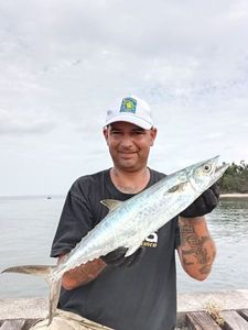 Wahoo