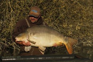 Mirror Carp