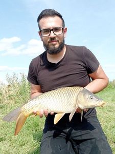 Common Carp