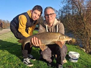 Barbel